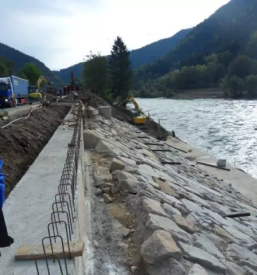 Zascita in sanacija brezin slovenija