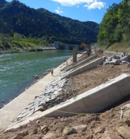 Zascita in sanacija brezin slovenija