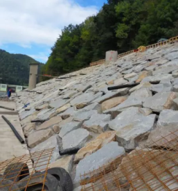 Zascita in sanacija brezin slovenija