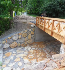 Zascita in sanacija brezin slovenija