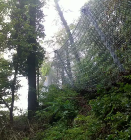 Zascita in sanacija brezin slovenija