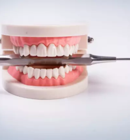 Zaseben zobozdravnik slovenska bistrica