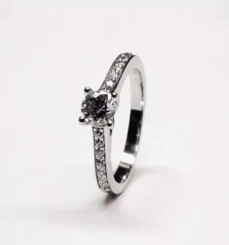 Lepo prstani Osrednja Slovenija