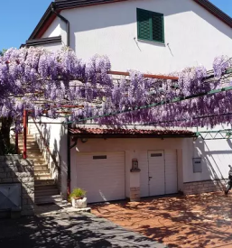 Comfortable apartment for tourists in izola