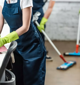 Dober cistilni servis gorenjska