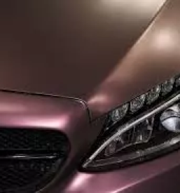 Najboljše avtoličarstvo Savinjska