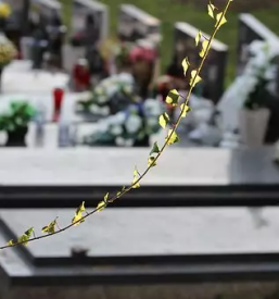 Ugodna obdelava naravnega kamna stajerska