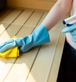 Čiščenje stanovanja Osrednja Slovenija