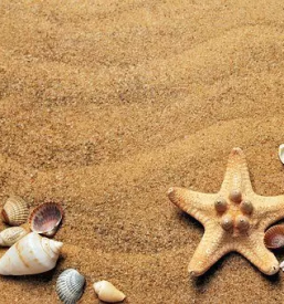 Apartma za osebe obala