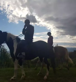 Dobra sola jahanja podravska