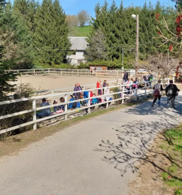 Dobra sola jahanja podravska