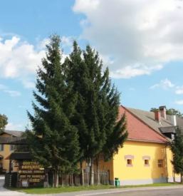 Golf radomlje osrednja slovenija