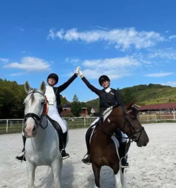 Konjenisko drustvo pesnica