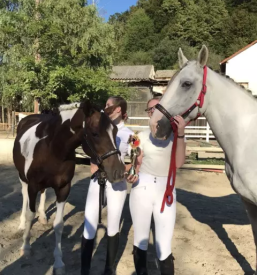 Konjenisko drustvo pesnica