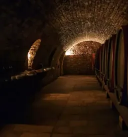 Turisticna kmetija kras primorska