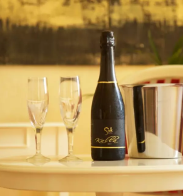 Ugoden najem sobe piran