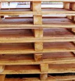 Ugoden razrez lesa osrednja slovenija