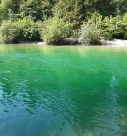 Nočitev z alpskim zajtrkom