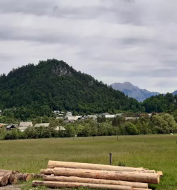 Nočitev z alpskim zajtrkom Bled