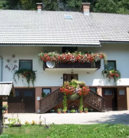 Bed and breakfast bohinj