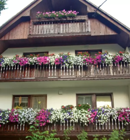 Bed and breakfast bohinj