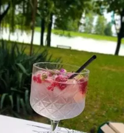 Burgerji, perutničke in ribja ponudba šoštanj