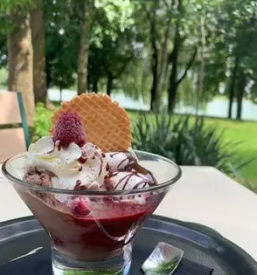 Burgerji, perutničke in ribja ponudba šoštanj