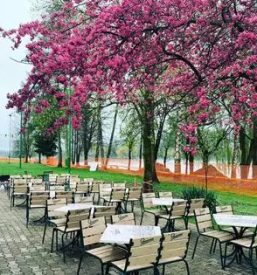 Burgerji, perutničke in ribja ponudba šoštanj