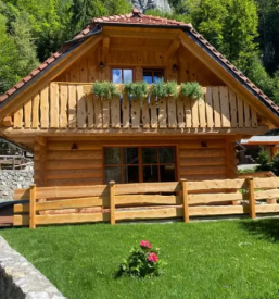 Comfortable apartment for rent in gorenjska