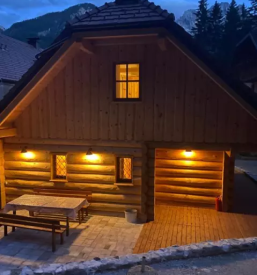 Comfortable apartment for rent in gorenjska