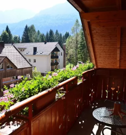 Comfortable apartment for rent in gorenjska