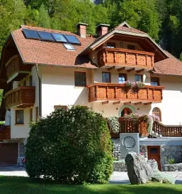 Comfortable apartment for rent in gorenjska