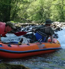 Dober rafting na Kolpi