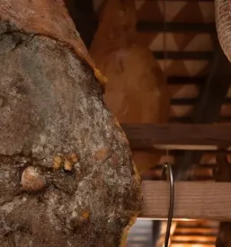 Ponudba dobrih vin Dornberk