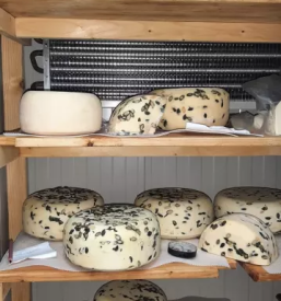 Mlecni izdelki podravska