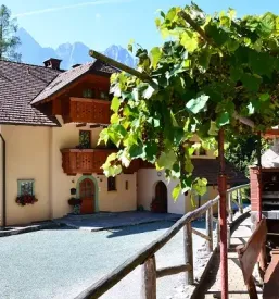 Apartma za sproščujoč oddih Gorenjska