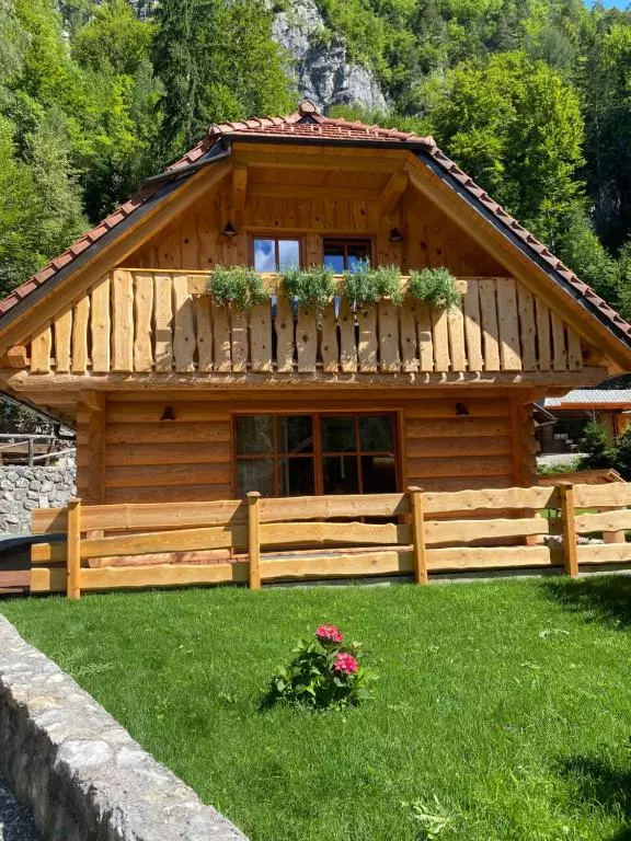 Najem udobnega apartmaja Gorenjska 