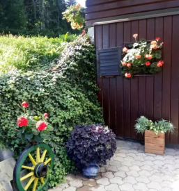 Okrepcevalnica velika planina