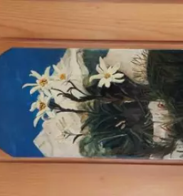 Okrepcevalnica velika planina