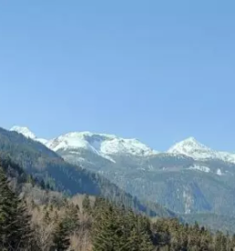 Okrepcevalnica velika planina