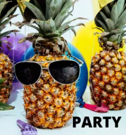 Hobby program novo mesto