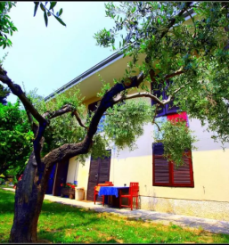 Ugoden najem apartmaja portoroz obala