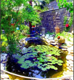 Ugoden najem apartmaja portoroz obala