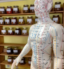 Kvalitetna akupunktura koroska