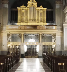 Organ repair in europe