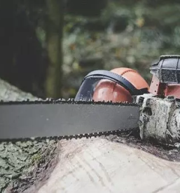 Spravilo lesa ljubljana in okolica