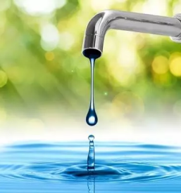 Zimska sluzba brezovica