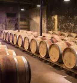 Dobra vinoteka koper