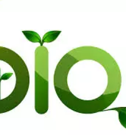 Ekoloska zelenjava pragersko