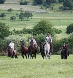 Javni zavod za kulturo turizem in medgeneracijsko sodelovanje sneznik loska dolina